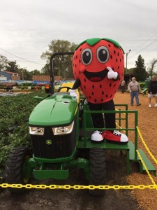GG Strawberry Festival and a visit with Jammer! @ God's Garden Preschool at First Baptist Dover | Dover | Florida | United States
